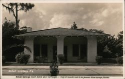 Hotel Cottage #2, Silver Springs Court Hotel and Cottages Postcard