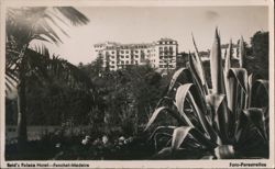 Reid's Palace Hotel, Funchal, Madeira Postcard