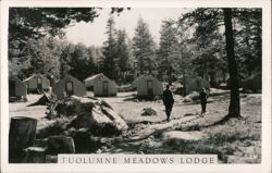 Tuolumne Meadows Lodge, Tent Cabins Postcard