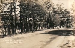 Pine Dale Cabins, Skowhegan, ME Postcard