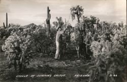 Man with Cholla or Jumping Cactus, Arizona Postcard