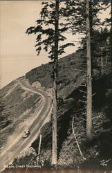Oregon Coast Highway, "The Look-Out" Postcard
