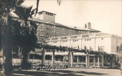 Palms and Pergolas, The Ambassador, L.A. Postcard