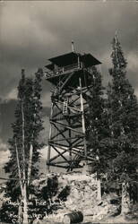 Dead Man Fire Lookout Tower, Red Feather Lakes, CO Postcard