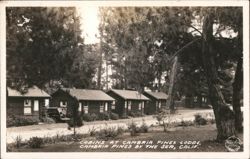 Cabins at Cambria Pines Lodge, Cambria Pines by the Sea, CA Postcard