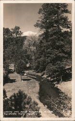 White Mt. and Ruidoso River, Ruidoso, New Mexico Postcard