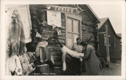 Leckardt's Curios Store, Kotzebue, AK Postcard