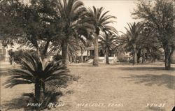 Park Scene, Mercedes, TX Postcard
