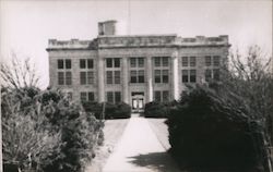 Schleicher County Courthouse Postcard
