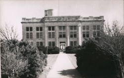 Schleicher County Court House Eldorado, TX Postcard Postcard Postcard