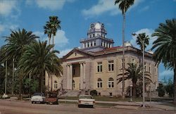 Stately Plams Surround Madison County Courthouse Postcard