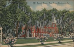 Osceola County Courthouse Postcard