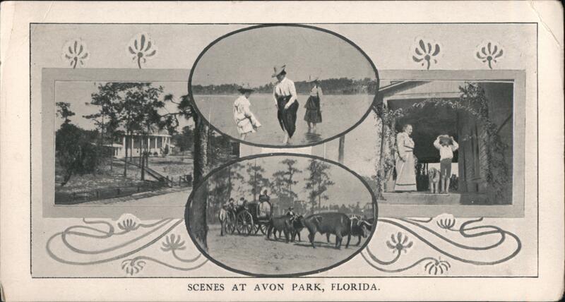 Scenes at Avon Park, Florida