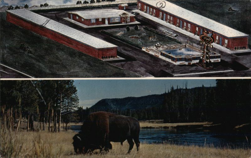 Wyoming Motel, Buffalo, WY and Bison
