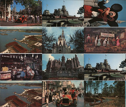Lot of 12 Walt Disney World Views Postcard