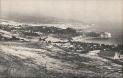 Lee Dolley Campaign for Rancho Palos Verdes Incorporation Postcard