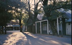 Main Street, Downieville, California Gold Country Postcard