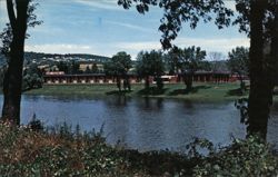 Owego Treadway Inn, Owego, NY Postcard