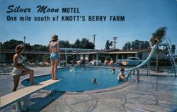 Silver Moon Motel Swimming Pool, Anaheim, CA Postcard