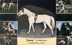 "Jimmy" the Skating Horse, De Graff, OH Postcard