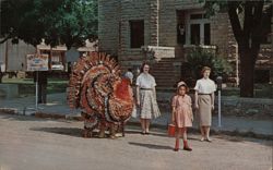 Turkey Costume, Turkey Trot Festival, Yellville, AR Postcard