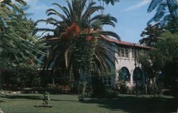 "Cola de Caballo" Horsetail Falls Resort, Monterrey Postcard