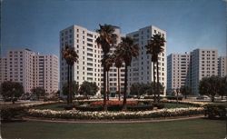 Park LaBrea Towers, Miracle Mile, Los Angeles Postcard