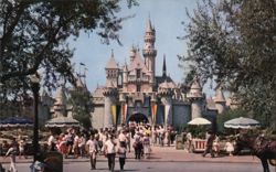 Sleeping Beauty Castle - Fantasyland Postcard