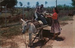 Cocoanut Wagon, Jamaica Postcard