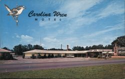 Carolina Wren Motel, Orangeburg, SC Postcard