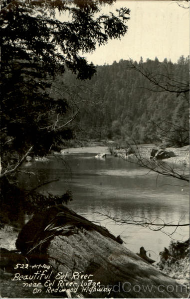 Beautiful Eel River Redwood Highway California
