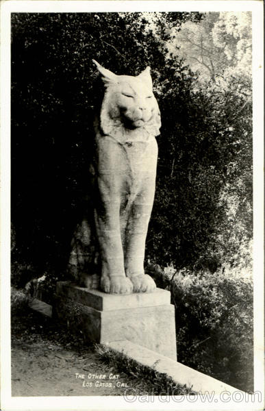 The Other Cat Los Gatos California