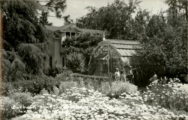 Barbank Home Santa Rosa California