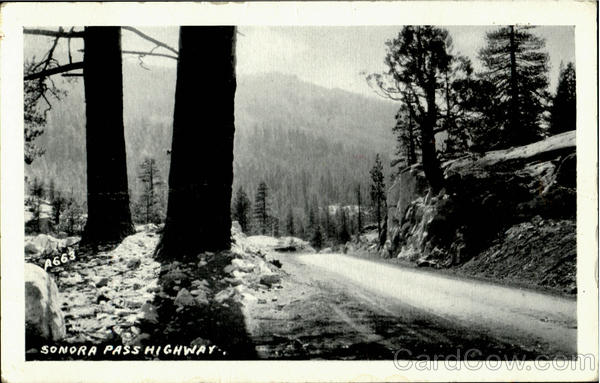 Sonora Pass Highway Scenic California
