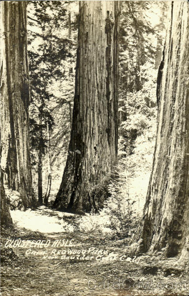 Cloistered Aisle, Calif Redwood Park Brookdale California