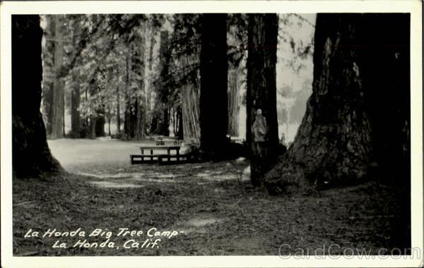 La Honda Big Tree Camp California