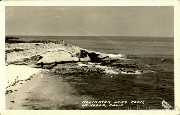 Alligator Head Rock La Jolla California