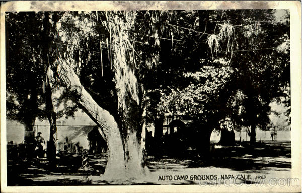 Auto Camp Grounds Napa California
