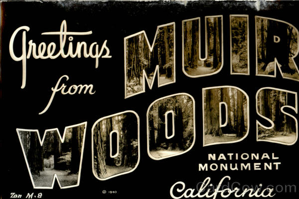 Greetings From Muir Woods National Monument, Muir Woods National Monument California