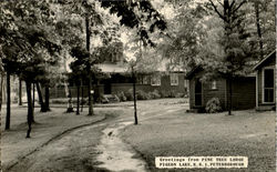 Greetings From Pine Tree Lodge, Pigeon Lake Postcard