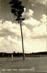 The Lone Pine Lewiston, MI Postcard Postcard