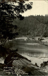 Beautiful Eel River Redwood Highway, CA Postcard Postcard