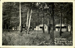 Kearneys Pickerel Lake Bitely, MI Postcard Postcard