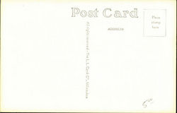 back