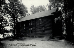 The Cabin Wildflower Woods Postcard