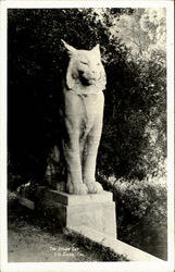The Other Cat Postcard
