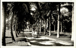 The Lake Trail Postcard