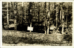 Historic Cemetery, Levi Jackson Wilderness Road State Park London, KY Postcard Postcard