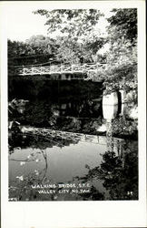 Walking Bridge S. T. C Valley City, ND Postcard Postcard