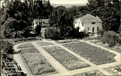 Luther Burbank Gardens Postcard